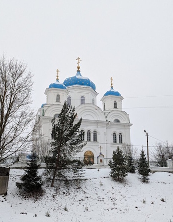 Главная